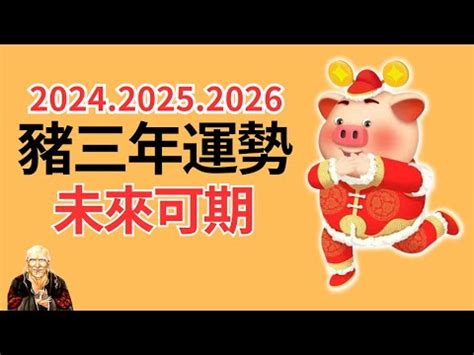 2024 豬 2018年 生肖